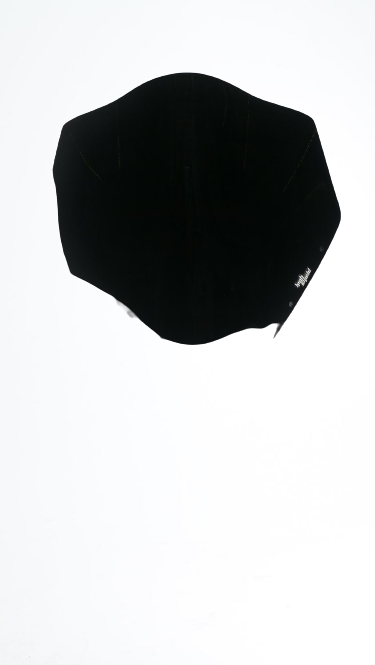 ΖΕΛΑΤΙΝΑ HIGH SHIELD TRIUMPH TIGER 1050 FABBRI 35cm - Image 2