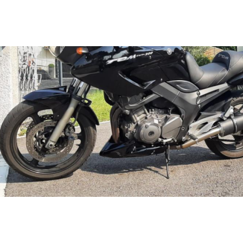 ΚΑΡΙΝΑ YAMAHA TDM900 2002-2011
