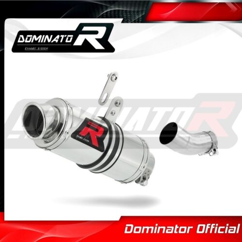 Τελικό εξάτμισης Aprilia Tuono V4R 2011-2014 Dominator Low