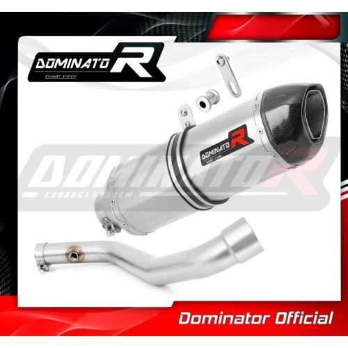 Τελικό εξάτμισης BMW R1100R Dominator - Image 3
