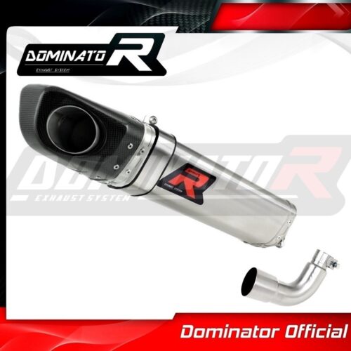 Τελικό εξάτμισης Aprilia RS4 125 Dominator 2012-2017