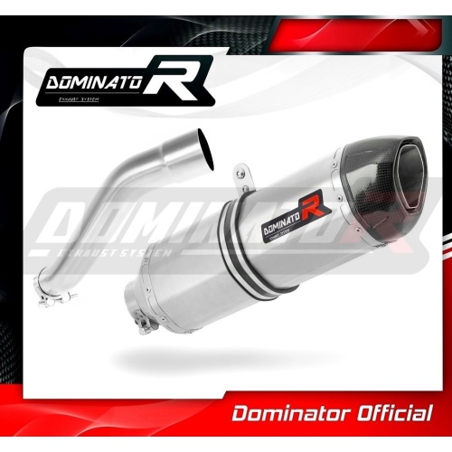 Τελικό εξάτμισης BMW F650 CS 2002-2005 Dominator - Image 4