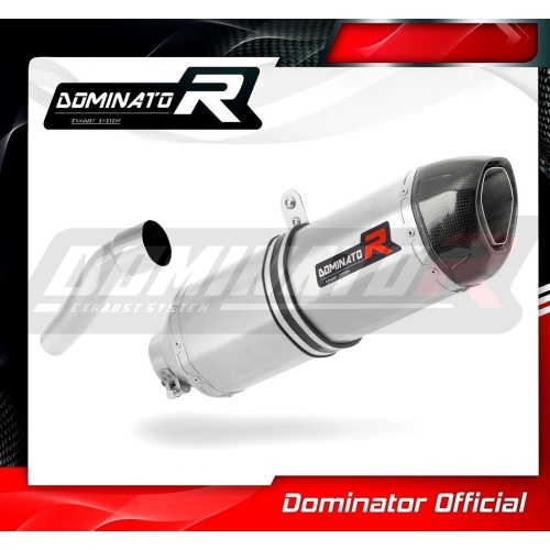 Τελικό εξάτμισης Aprilia RS 125 Dominator 1999-2005 - Image 4