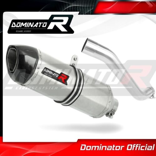 Τελικό εξάτμισης Aprilia Tuono V4R 2011-2014 Dominator – HP1