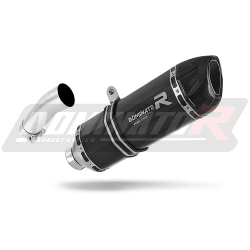 Τελικό εξάτμισης BMW F800R 2009-2019 Dominator - Image 3