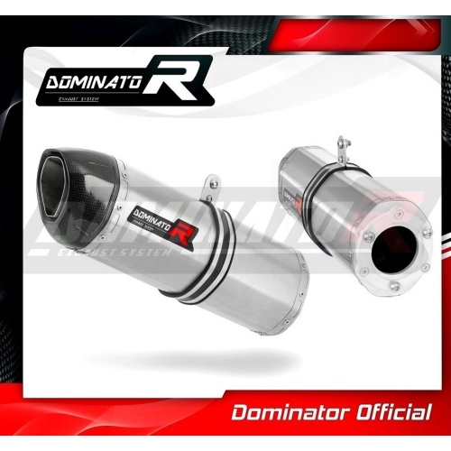 Τελικά εξάτμισης Suzuki RF 900 1994-1998 Dominator - Image 3