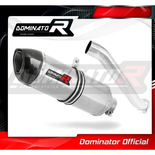 Τελικό εξάτμισης Suzuki RF600 1993-1997 Dominator - Image 3