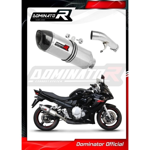 Τελικό εξάτμισης Suzuki GSXF 650 2007-2016 Dominator - Image 4