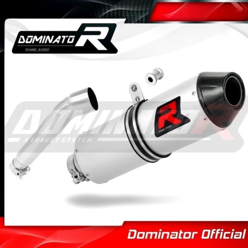 Τελικό εξάτμισης Acces Motor TOMAHAWK 300 Dominator