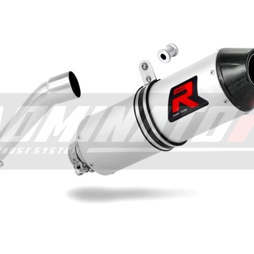 Τελικό εξάτμισης Acces Motor TOMAHAWK 250 Dominator